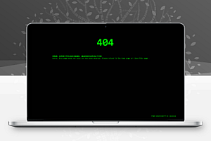代码效果404源码