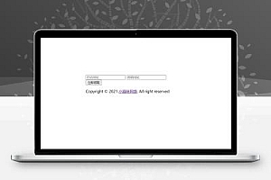 在线仿站(邮箱版)