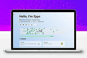 ZYYO简约大气主页支持多主题切换源码