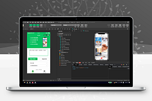 最新去水印小程序源码,无后台支持激励广告