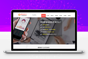 网站建设网络设计营销类网站模板