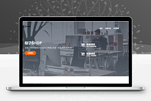 简洁大气的售卖介绍页源码