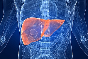 29岁抗癌网红大飞去世:4年前患肝癌晚期