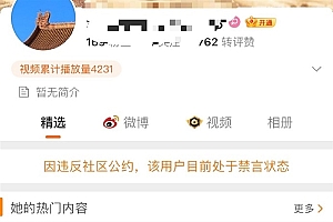 喊话内容太直接!每天打卡喊雷军老公女网友被禁言:专家释疑真不冤