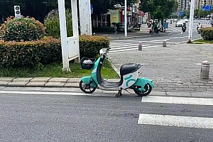 女子路边随意停车致15岁男孩7级伤残:判赔17万