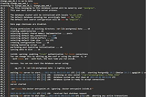 如何有效地执行Docker命令?