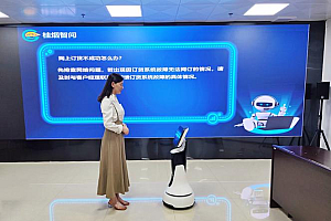 智能客服系统如何改变传统店铺的客户服务体验?