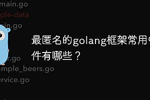 最匿名的golang框架常用中间件有哪些?