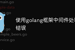 使用golang框架中间件处理错误