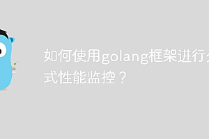如何使用golang框架进行分布式性能监控?