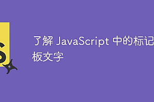 了解 JavaScript 中的标记模板文字