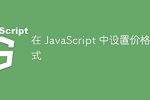 在 JavaScript 中设置价格格式