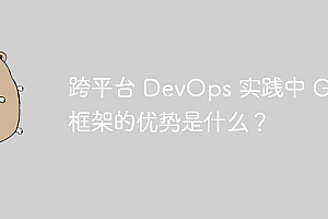 跨平台 DevOps 实践中 Go 框架的优势是什么?