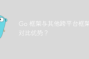 Go 框架与其他跨平台框架的对比优势?