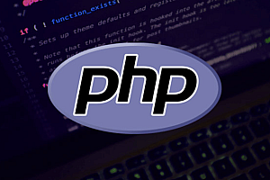 使用 Lyzr SDK 构建 NLP  WBOY