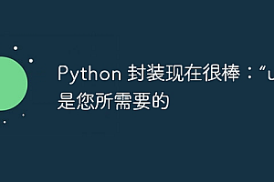Python 封装现在很棒:“uv”就是您所需要的