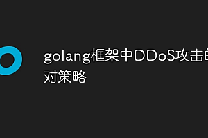 golang框架中DDoS攻击的应对策略