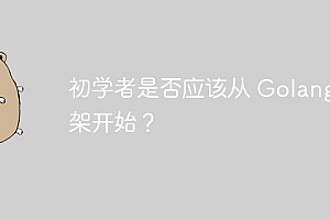 初学者是否应该从 Golang 框架开始?