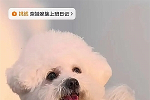 美腕抖音新布局:李佳琦的狗都开始直播带货了