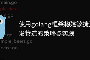 使用golang框架构建敏捷开发管道的策略与实践
