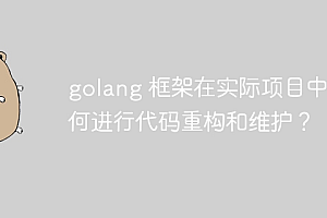 golang 框架在实际项目中如何进行代码重构和维护?