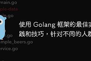 使用 Golang 框架的最佳实践和技巧,针对不同的人群