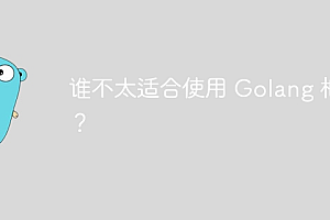 谁不太适合使用 Golang 框架?