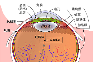 眼睛里长了红血丝不要轻视!5件事你一定要做