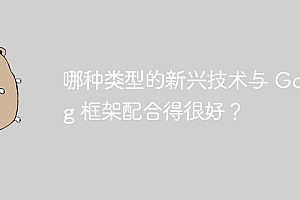 哪种类型的新兴技术与 Golang 框架配合得很好?