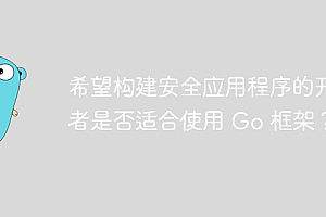希望构建安全应用程序的开发者是否适合使用 Go 框架?