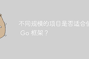不同规模的项目是否适合使用 Go 框架?