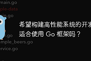 希望构建高性能系统的开发者适合使用 Go 框架吗?