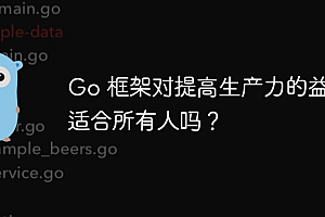 Go 框架对提高生产力的益处适合所有人吗?
