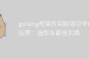 golang框架在实际项目中的应用:选型与最佳实践