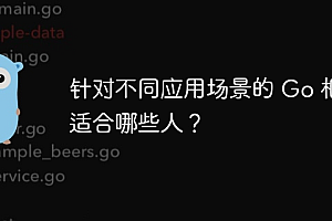 针对不同应用场景的 Go 框架适合哪些人?