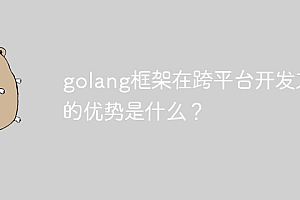 golang框架在跨平台开发方面的优势是什么?