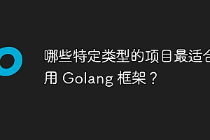 哪些特定类型的项目最适合使用 Golang 框架?