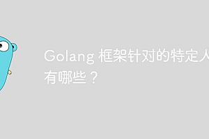 Golang 框架针对的特定人群有哪些?