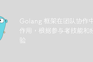 Golang 框架在团队协作中的作用,根据参与者技能和经验