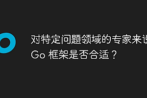 对特定问题领域的专家来说,Go 框架是否合适?