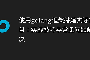 使用golang框架搭建实际项目:实战技巧与常见问题解决