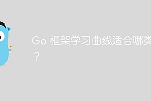 Go 框架学习曲线适合哪类人?