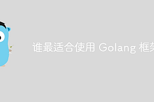 谁最适合使用 Golang 框架?