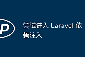 尝试进入 Laravel 依赖注入