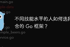 不同技能水平的人如何选择适合的 Go 框架?