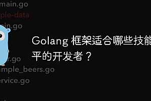 Golang 框架适合哪些技能水平的开发者?