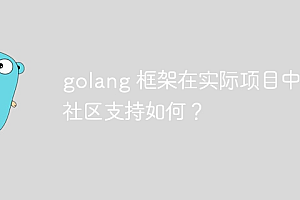 golang 框架在实际项目中的社区支持如何?