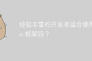 经验丰富的开发者适合使用 Go 框架吗?