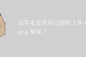 初学者是否可以轻松上手 Golang 框架?