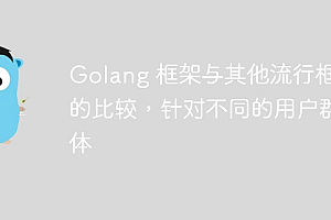 Golang 框架与其他流行框架的比较,针对不同的用户群体